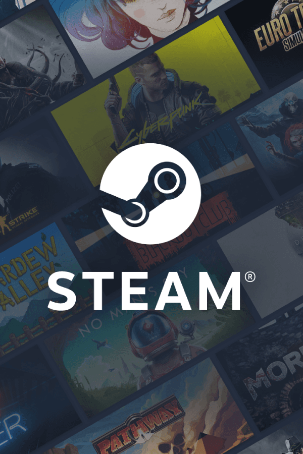 Steam Cüzdan